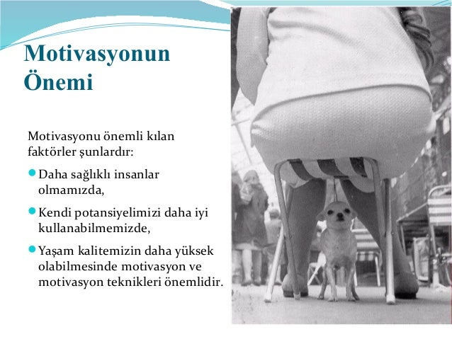 Demiyelinizan beyin hastalığı: tedavi, tahminler, belirtiler 16